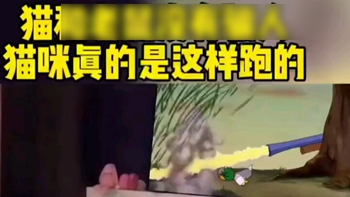Cat: Why are horror movies shown here? I’m scared to death.