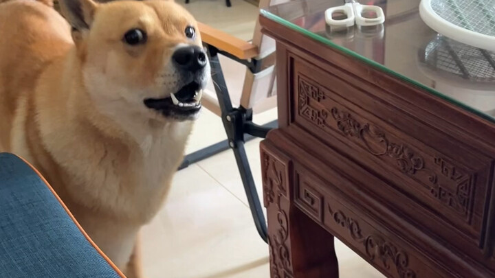 Langsung aja bilang.