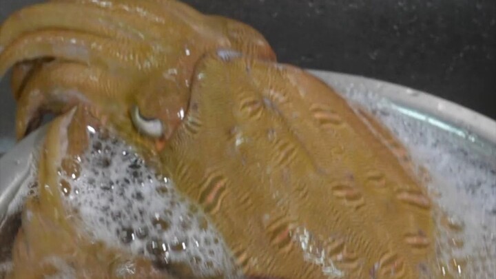 A big cuttlefish caught offshore—while it’s still alive, I’m making sashimi right away. So fresh!