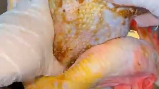 Bảo bối thần kì vạn năng của Pít _ Pít Ham Ăn