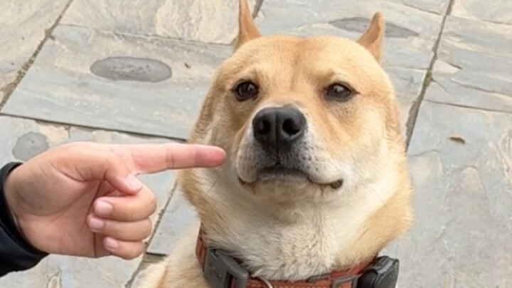 หาเรื่อง