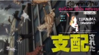 【HD】12.ดูอนิเมะ NyaightoftheLivingCat (๒๐๒๕)ดูหนังญี่ปุ่นตอนจบ (เต็มเรื่องพากย์ไทย) HD【 bilibil HD 】