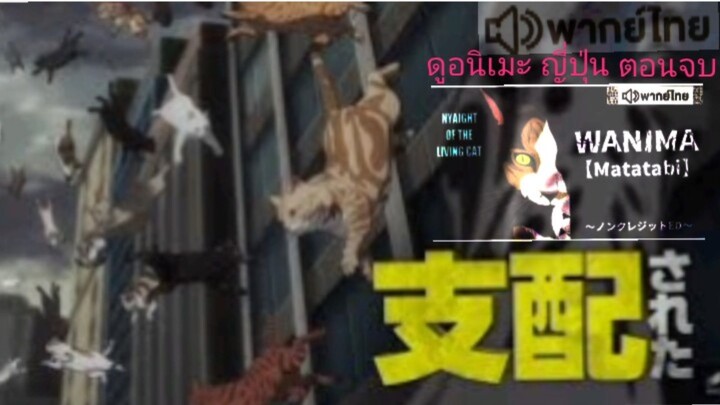 【HD】12.ดูอนิเมะ NyaightoftheLivingCat (๒๐๒๕)ดูหนังญี่ปุ่นตอนจบ (เต็มเรื่องพากย์ไทย) HD【 bilibil HD 】