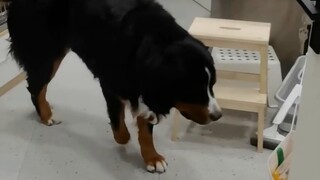 Saya sangat cemas, saya sangat cemas