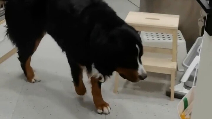 ฉันกังวลมาก ฉันกังวลมาก