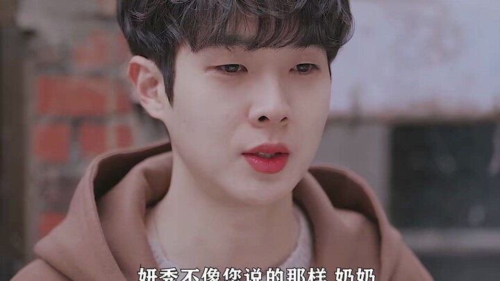 Watch the ultimate “broken mirror mended” romance in one sitting—That Summer We Had! The cat-and-dog