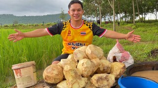 "ขุดกลอย" กับวิถีชีวิตของครอบครัว ที่ยังหลงเหลือและสืบสาน