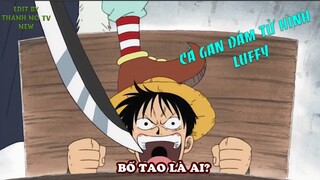 VUA HẢI TẶC Monkey D Luffy bị HÀNH HÌNH - BỐ NÓ LÀ AI?