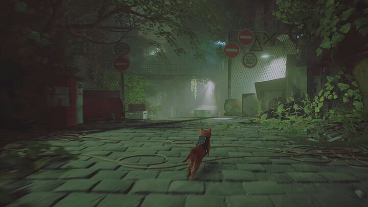 Stray