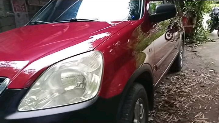 auto painting and restoration