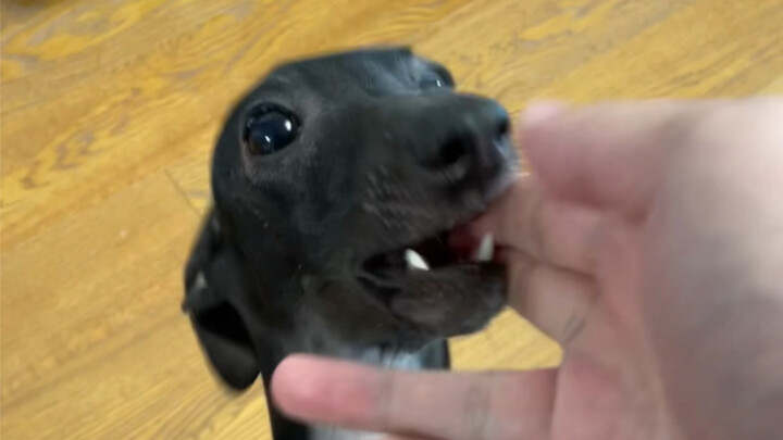 He just can’t seem to control himself…