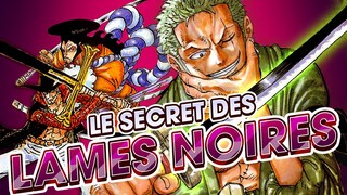 Le SECRET des SABRES NOIRS | ONE PIECE