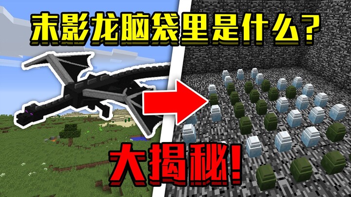 เมื่อเข้าไปในหัวของมังกรเอ็นเดอร์ในมายคราฟ! ข้างในมีอะไรบ้าง!