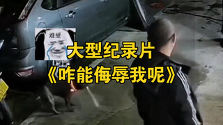 大型纪录片《咋能侮辱我呢》为您奉上！