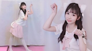 【Xizhi】علم الكونيات للقطط