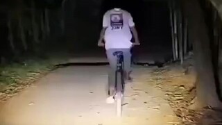 Lights on lights off