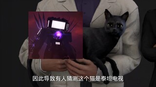 对于泰坦电视是不是猫这个问题，你们怎么看？