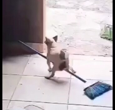 Why can’t I fly?