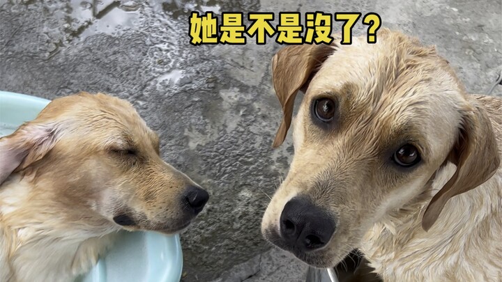 I'm sorry. I’m really sorry about this “ascension.” I thought…