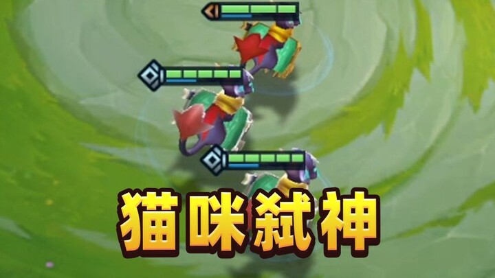 Chân trái dẫm chân phải, 3 con mèo sát thần với 2 sao 5 vàng!