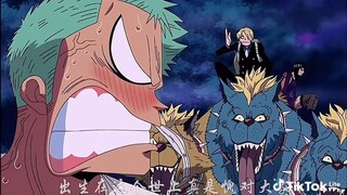 Zoro and Sanji always fight 😆