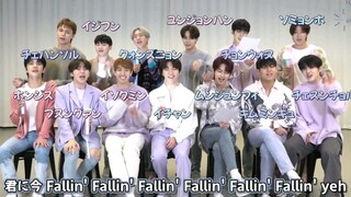 Pengajaran dukungan resmi untuk lagu baru SEVENTEEN berbahasa Jepang "Fallin' Flower" telah dirilis
