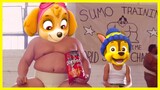 I Want Paw Patrol Song - Sumo Doritos AD Comercial Meme #26
