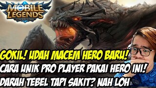 PRO PLAYER PAKAI HERO INI DENGAN CARA YG BEDA!! GILA JADI KAYAK HERO BARU COY!!