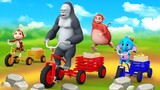 Fat Monkey Chase Elephant Gorilla Fun with Tricycle in Forest Funny Animals 3D Videos Animal Cartoon