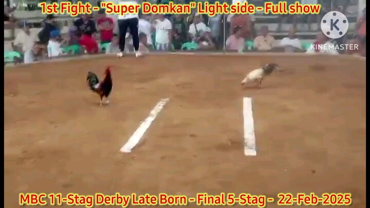 Super Domkan "Light side" 1st Fight Winner - 2025 WPC MBC 11-Stag Derby Lateborn Edition - Finals