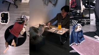 和猫猫的幸福生活