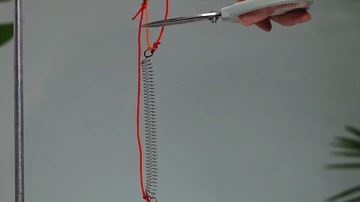 A counterintuitive physics phenomenon: when you cut the rope, does the object rise or fall?