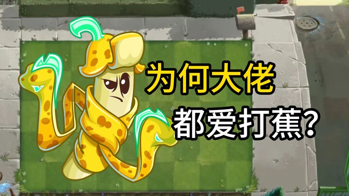 รีวิวพืช กล้วยอีเล็กทริกอีล: พืชที่พลิกโฉมการเล่นแบบไร้ขีดจำกัด