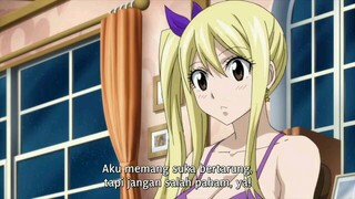 Fairy tail final series episode 14 sub indo