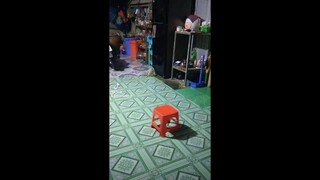 Glorious Universe [Part 1]