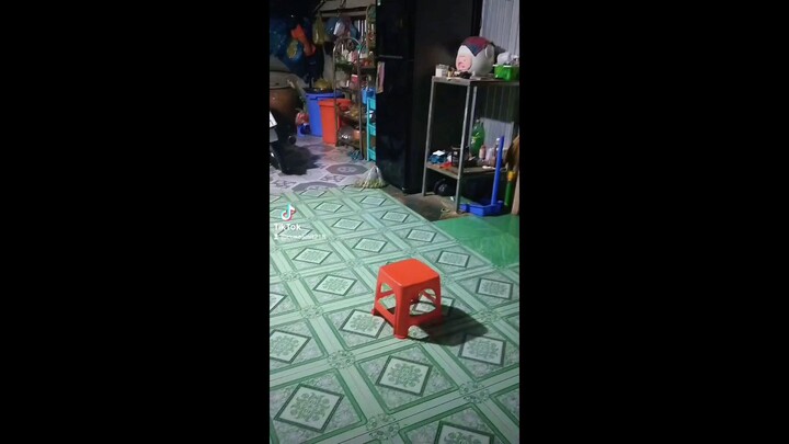 Glorious Universe [Part 1]