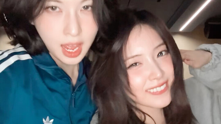 【NMIXX】Who Picked This Couple Pairing? 🐥🐶 “Where You At” Challenge! 🙌🏻