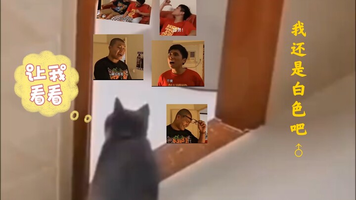 Kelakuan menggemaskan sekaligus membingungkan hewan-hewan kecil ini bikin aku ketawa seharian!