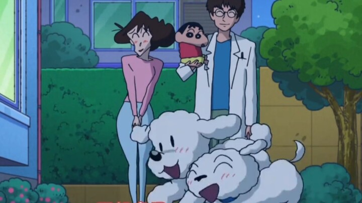 未收录超短小剧场:1.新酱变成小葵了哦！2.联名!尾巴与神乐坂哦! 3.裸之少年来了！是帅哥哦！ 4.柚子超人？谁是柚子超人！？ 5.柚子超人又来啦！