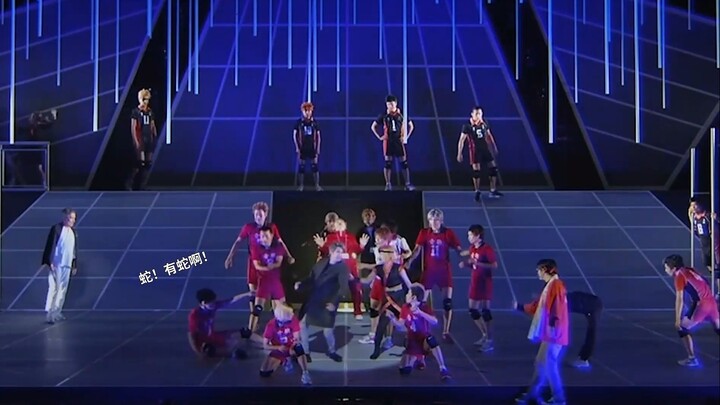 【排舞】垃圾场决战 猫蛇互动cut