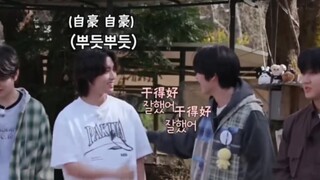 【straykids/旻城】韩叽怂：唯一能读懂四次元猫猫的人出现了！！！
