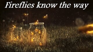 Fireflies know the way  |  Original Composition