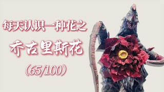 "The language of the choker flower is a hundred-year-long moment of temptation and a contract of blo