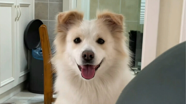 เป็นผู้อำนวยการโรงเรียนช่างไม่ง่ายเลย