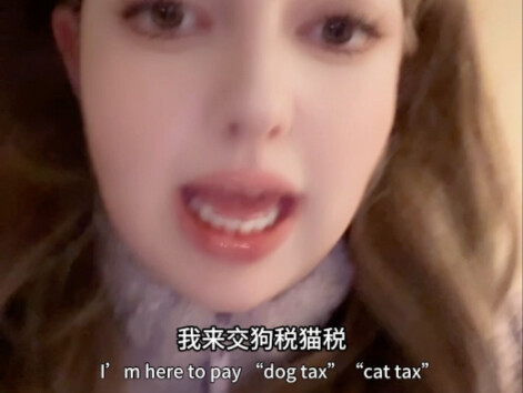 还原不同的外国“网络难民”