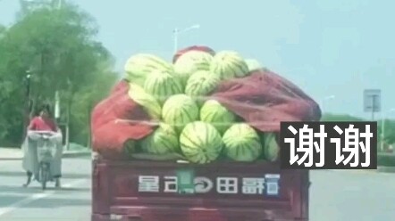 Telah mengikuti lima blok jalan, akhirnya terjatuh juga!