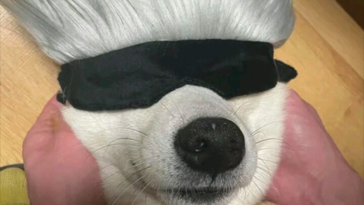 [AMV]สิ่งที่เหมือน โกโจ ซาโตรุ|<มหาเวทย์ผนึกมาร>