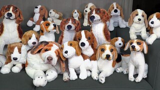 คุณสามารถหาสุนัขตัวจริงได้หรือไม่ สุนัขตลก Maymo กับ Fake Dogs Challenge