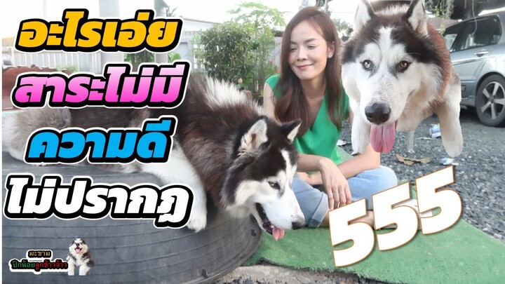 “ต้าวขาม” สร้างวีรกรรมอะไร กับคุณน้าอีก น้าเคืองมาก | มะขาม ปึกน้อย ลูกข้าวจ้าว EP. 324