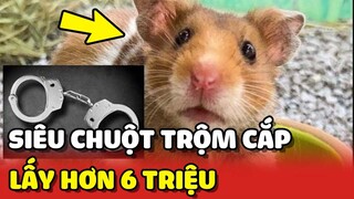 Siêu Chuột trộm hơn 6 TRIỆU giấu trong lốp xe của bà bán thịt lợn ngoài chợ 😂 | Yêu Lu